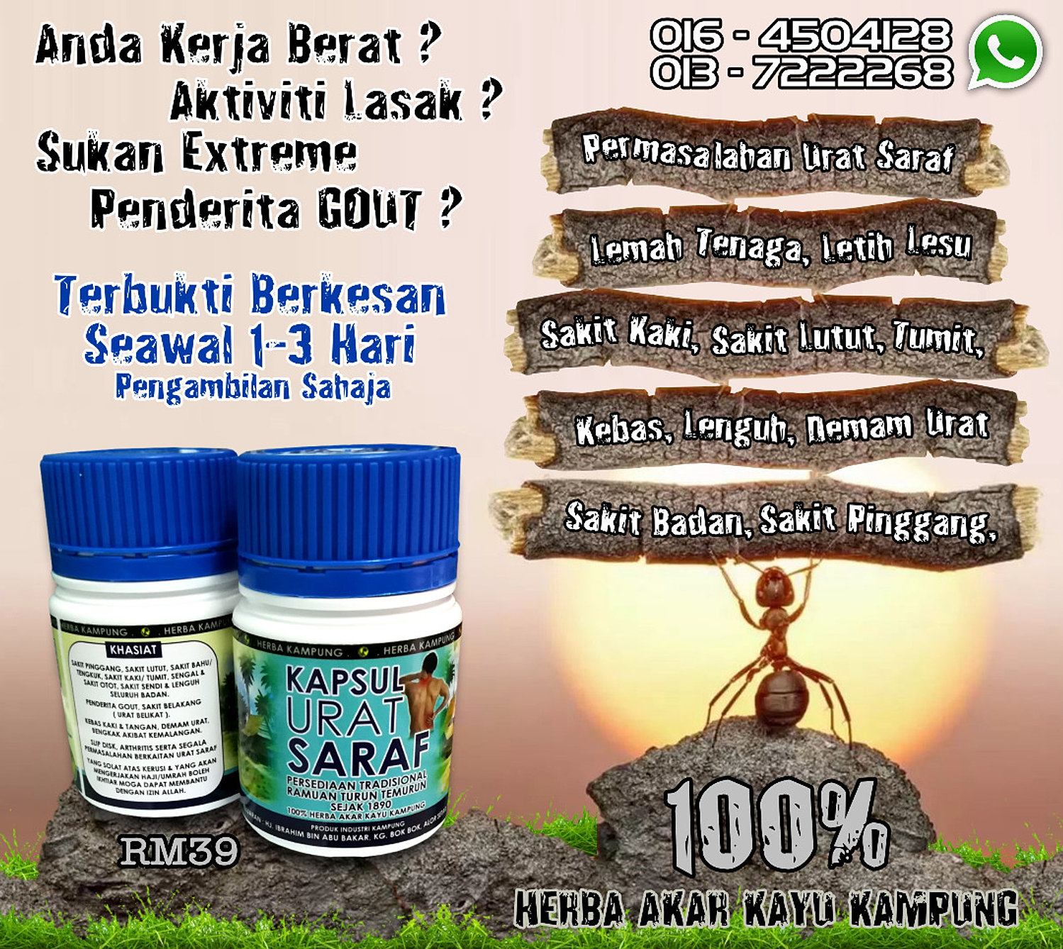 Home  Kapsul URAT SARAF Selatan