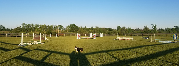 20210530_195646.jpg