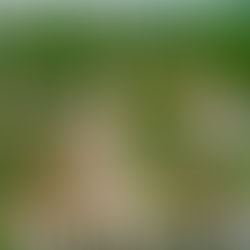 Lascahobas : la ville qui refuse de mourir