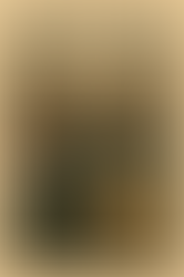 Haïti à l’ONU : une délégation sans transparence dans un pays en ruine