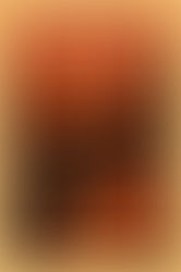 Forger le chaos, conquérir le pouvoir : l’essor tumultueux de la caste économique