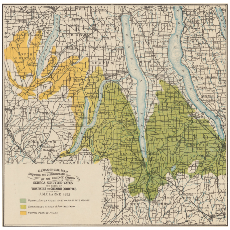 Thumbnail: Vintage Finger Lakes Map