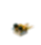 Pufferfish_small.webp