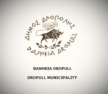logo_dropull EL-EN_edited