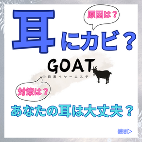 【耳が痒い!耳にカビ!】