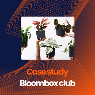 Case Study: Bloombox Club