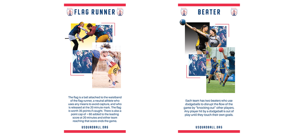 Graphic showing different Quadball player positions with descriptions.