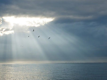 *Mercoledì 12 e Giovedì con qualche pioggia e temperature in leggero calo, in attesa di un Venerdì 14 mite e ventoso ovunque!