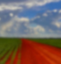 Desc - DyN AGRO - ESP - ING.jpg