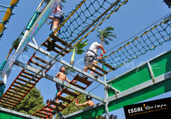 ESCAL-Grimpe-Photo-Accro-Jungle-04