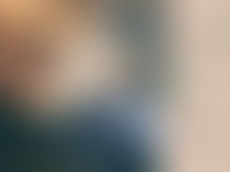 Book Review: The Survivor by Andrew Reid