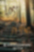 Foggy forest stairs with the text LOST, JEN SEQUEL, and SLAUGHTERHOUSE SEVEN in eerie orange and white.