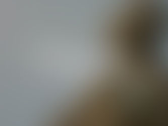 The Festival of Megalesia