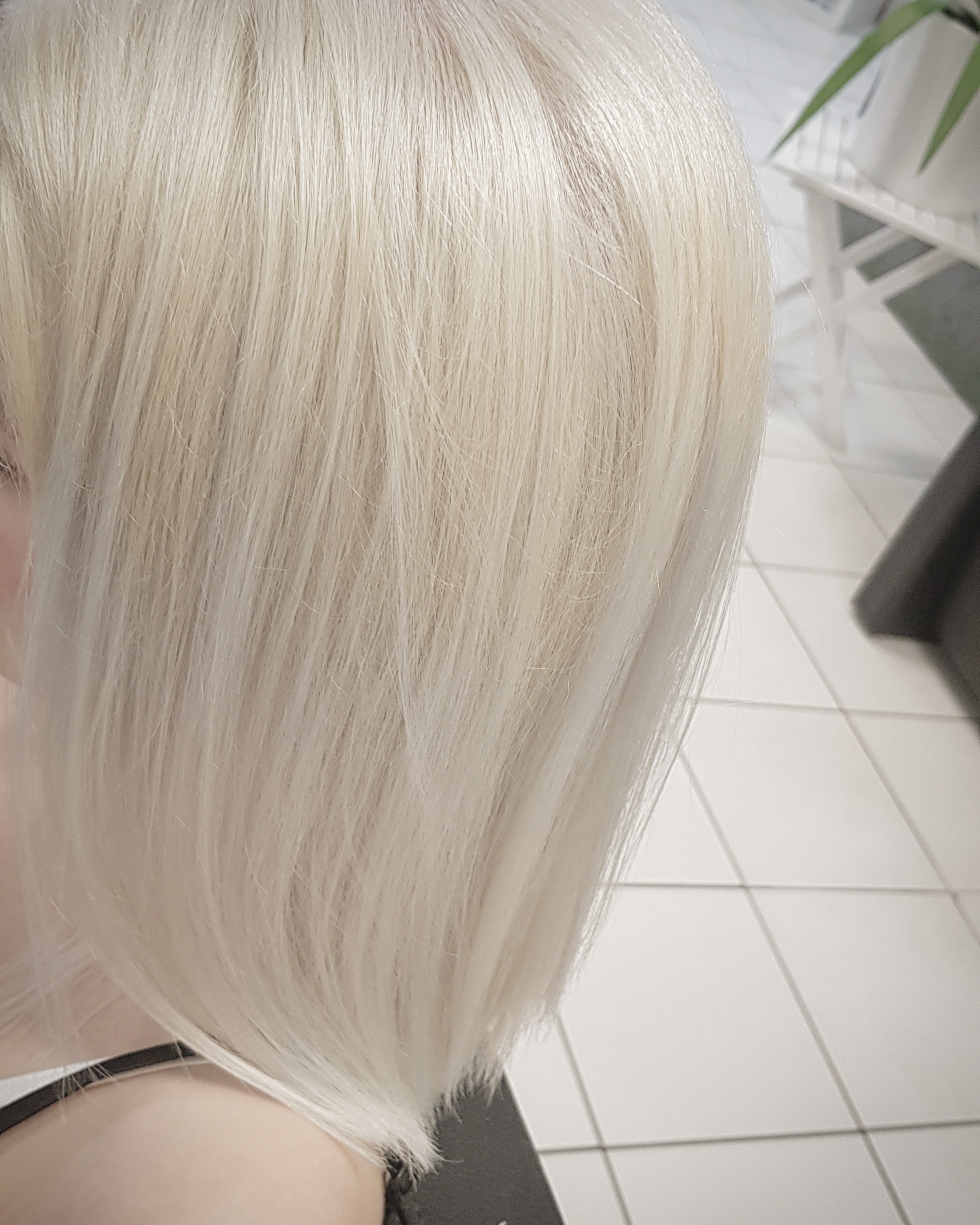 Blond polaire