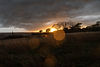 DSC04795.jpg