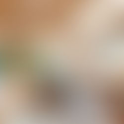 Desvendando a Elegância: Janelas no Teto na Arquitetura Contemporânea