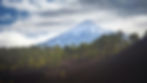 pexels-marek-piwnicki-3907296-14332697.jpg