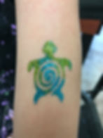Two Toned Turtle