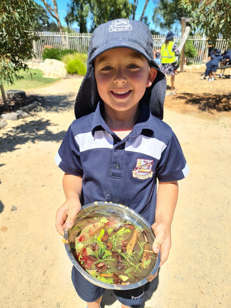 Cultivating Curiosity in Kids 