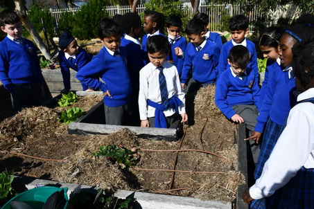 Nature Play Planting 