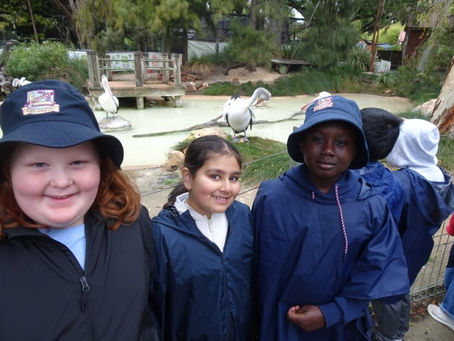 Year 4 Zoo Snooze
