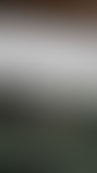 a typewriter with a job application typed out