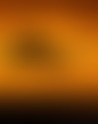 airplane landing in the evening