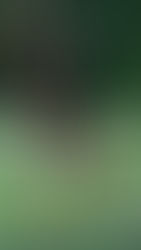 a man on a football field standing with one leg on the football