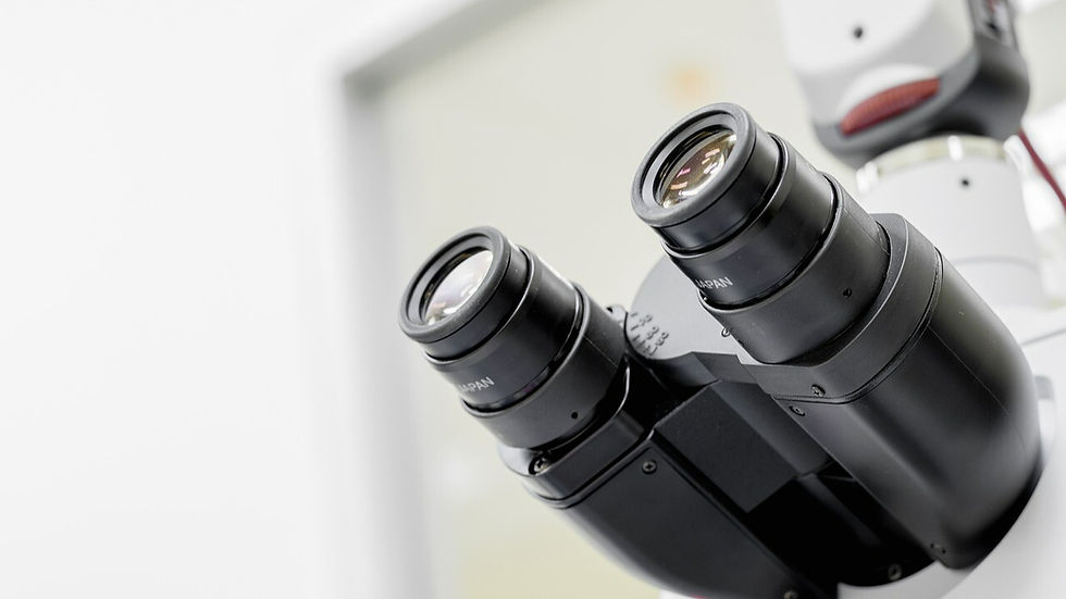 The Architect’s Hand: A Silent Revolution in New Zealand Science