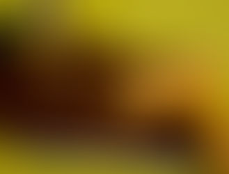 Passports with Stamps 