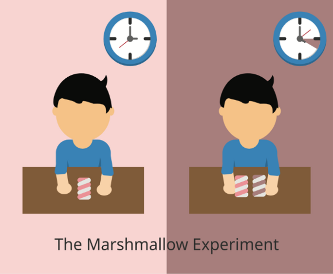 Measuring patience among young children in rural Pakistan Lessons
