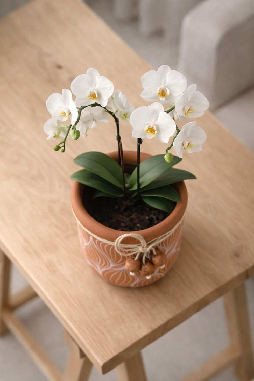 Miniatura: Vaso Cachepot Éden Orquídea Anália