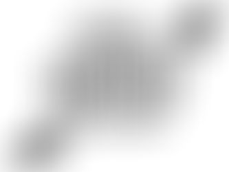 WOMEN IN FILM AND TELEVISION—SPOTLIGHT AWARD