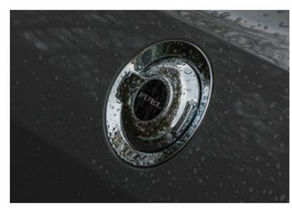 „Ohne gesetzliche Quoten würde niemand Biokraftstoffe nutzen“