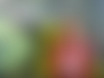 "In Hamm können wir zeigen, was NRW kann."