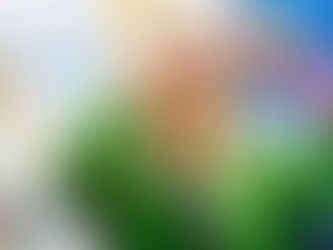 Eine Frau in grüner Bluse formt mit beiden Händen ein Herz und lächelt in die Kamera. Am Handgelenk trägt sie mehrere Women-in-Mobility-Festivalbänder. Im Hintergrund ist ein WiM-Banner zu sehen.