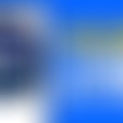 원엑스벳: 한국인을 사로잡는 숨겨진 스포츠 베팅 보물