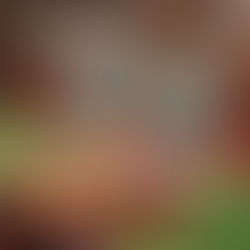 Bengali Casino: Exploring the Growing Popularity of Online and Offline Casinos Among Bengali Players