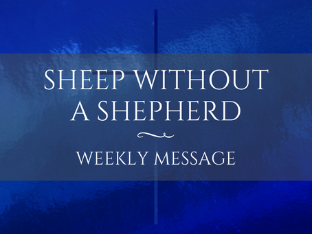 Weekly Message | Sheep Without a Shepherd