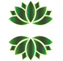 Welcome 2 Wellness logo