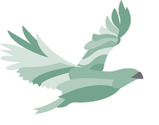 Bird_edited.png
