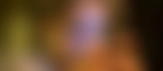 Ban social media for under-16s?