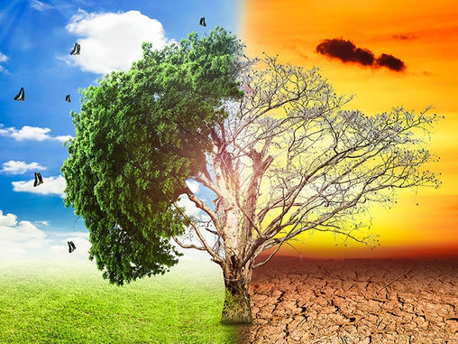 The Piezoelectric Shoe: An Approach to Impede Global warming