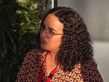 🇳🇱🗣️ Marijn van Ballegooijen: Democratic Elections in NL