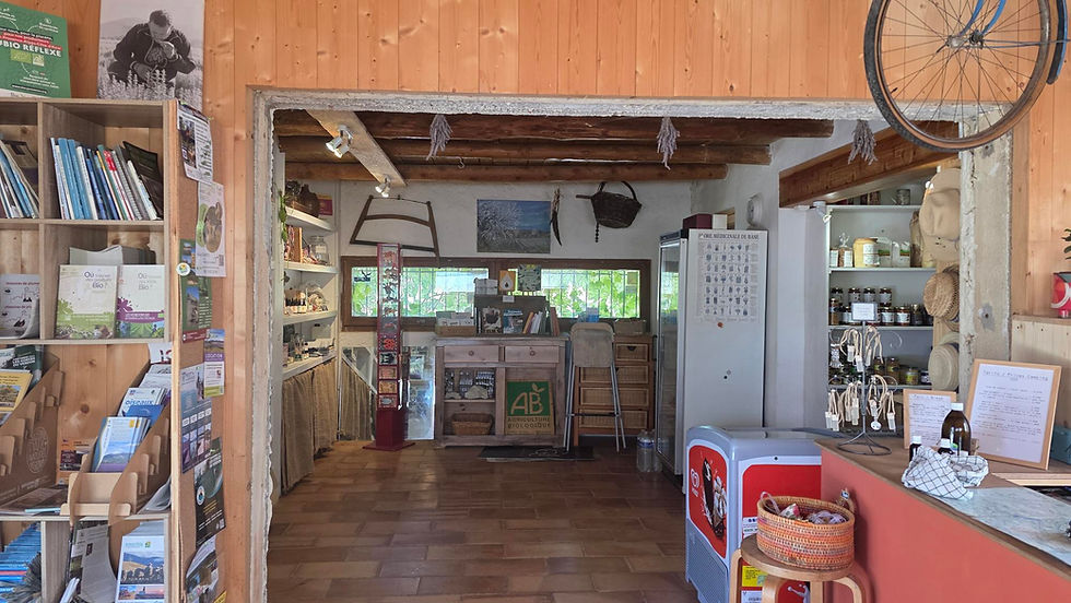 Essential Oil grower shop in Provence France