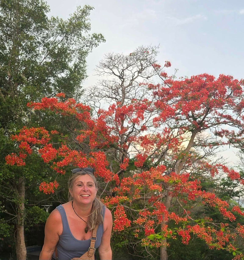 Sandy stands by bright red flowering trees under a pale sky in a lush garden in Thailand