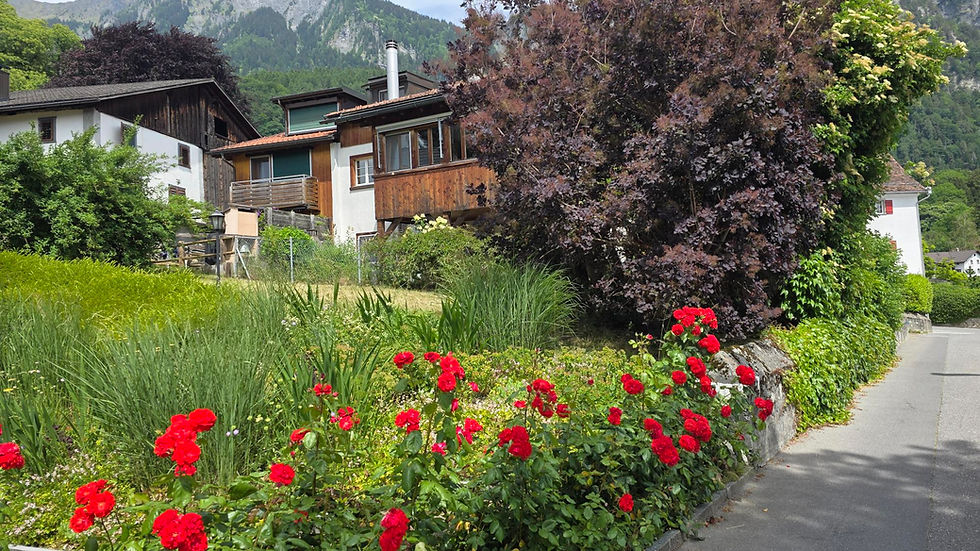 Bright red roses and lush gardens line a quiet village road beside wooden houses, with forested mountains in the background.
