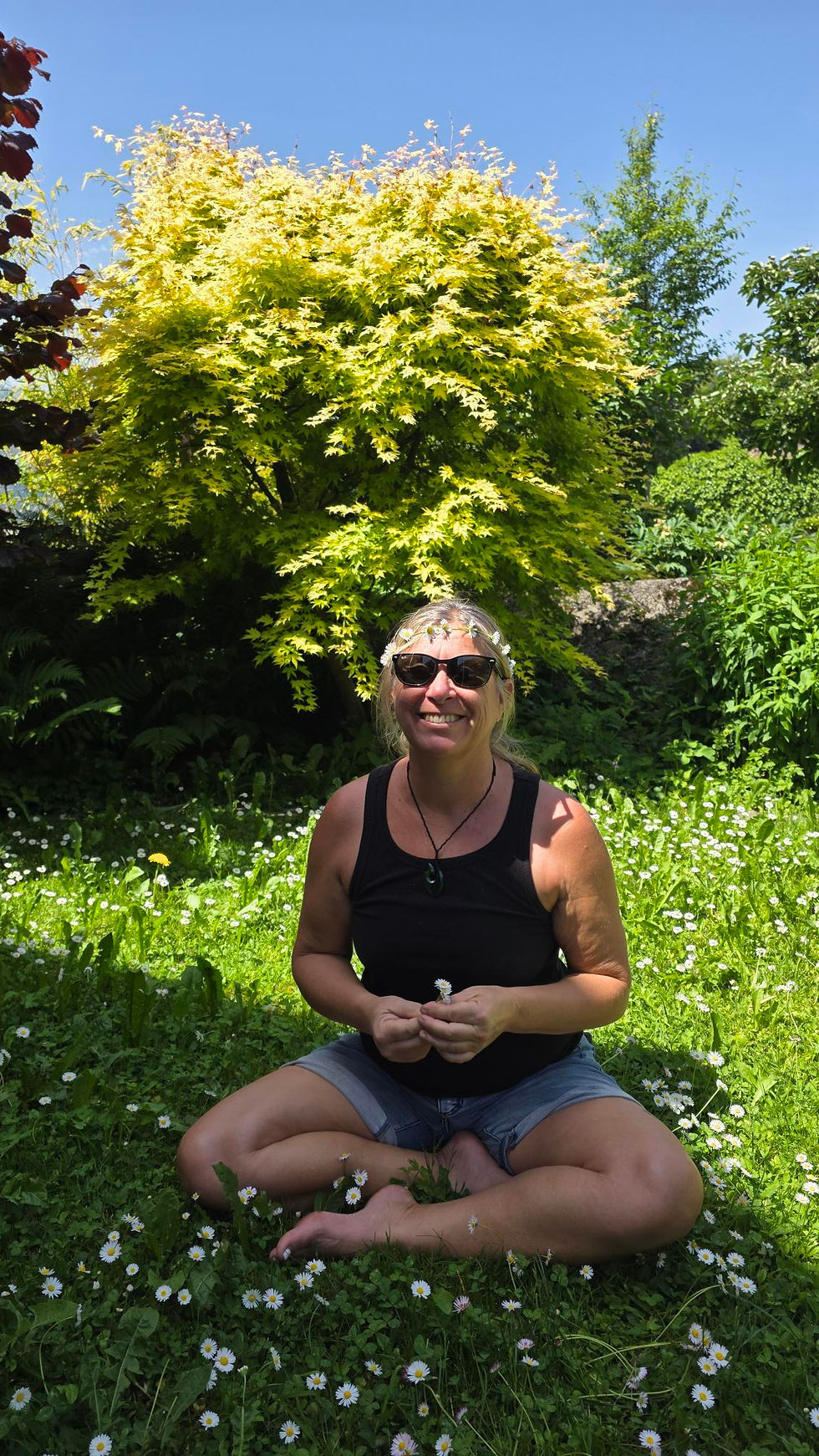 Herbal Nomad Journey 2026