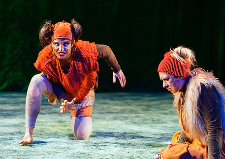 The Cunning Little Vixen, HGO (2022)