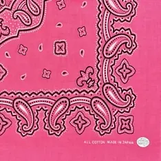 ペイズリー25.webp